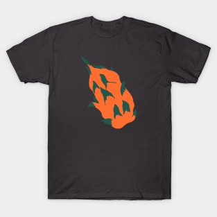 Dragon Fruit T-Shirt